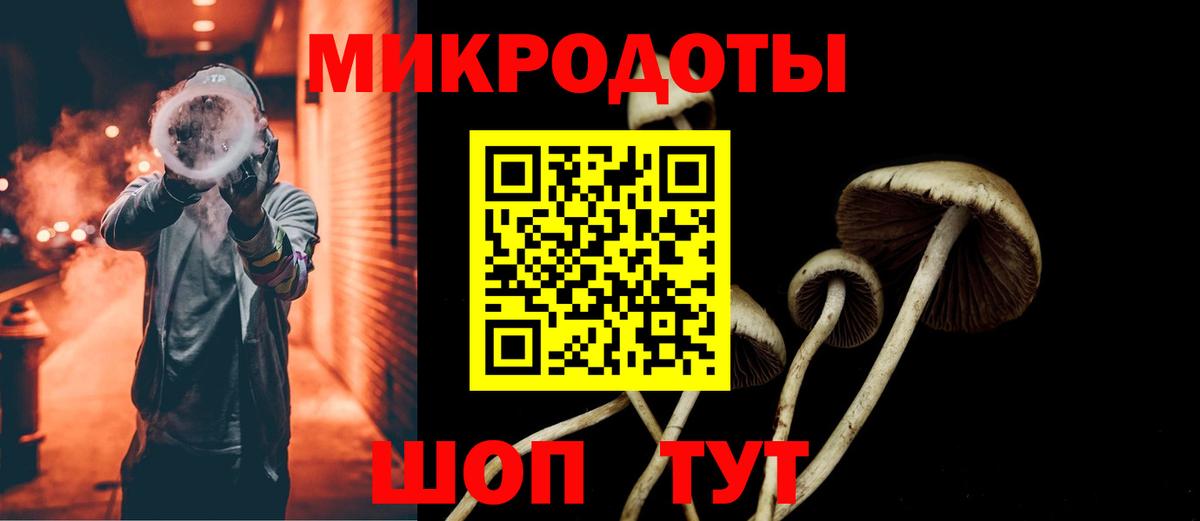 Моздок  Псилоцибиновые грибы ЛСД  Вход с VPN 